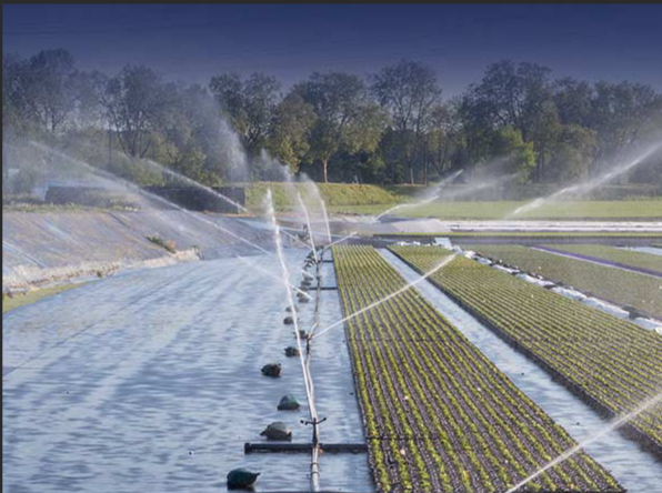 氨氮：水中的“雙刃劍”，你了解多少？