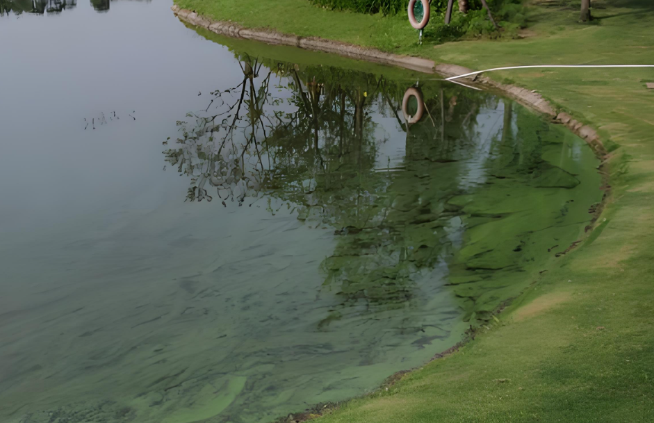 總磷檢測儀全方位守護(hù)水體健康